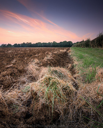 _DSC6593HDR
