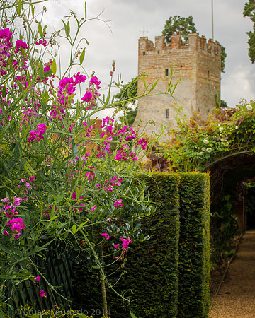 Greys Court (49)