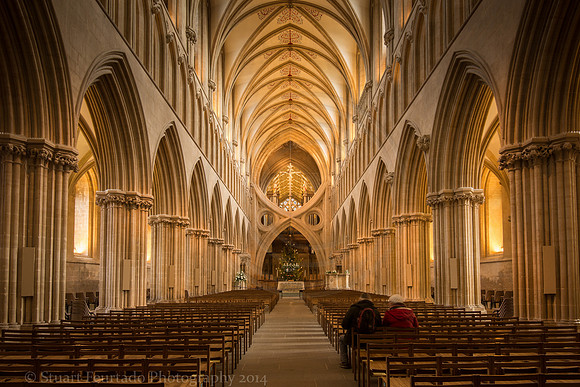 Wells Cathedral, the Nave