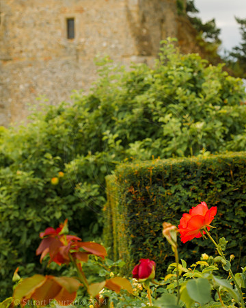 Greys Court (48)