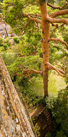 Greys Court (36)