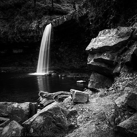 _DSC1304-Edit