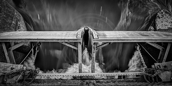 Enter the flood