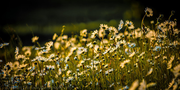 A gentle slope