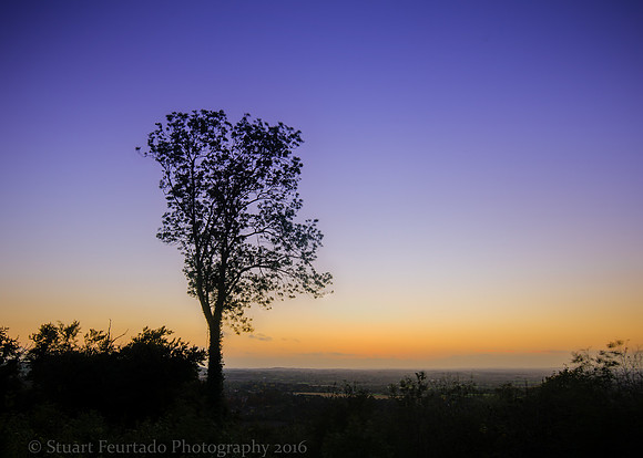 _DSC3170HDR
