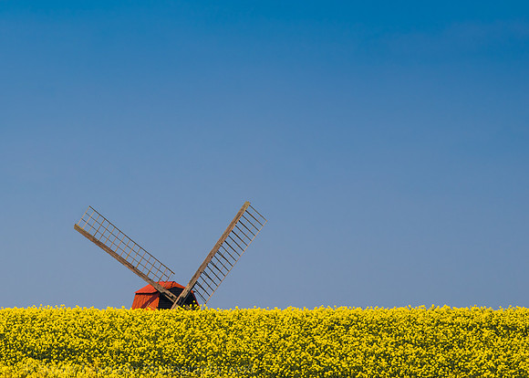 Steventon Windmill