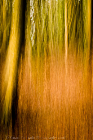 _DSC7883