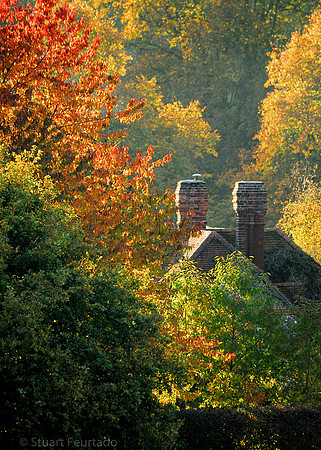 Bradenham Autumn 1