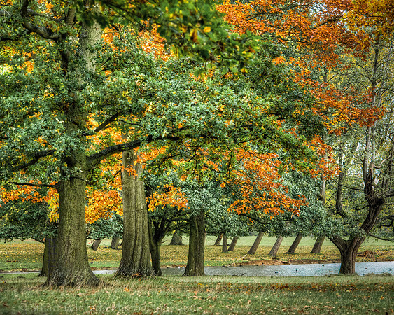 _DSC3663HDR