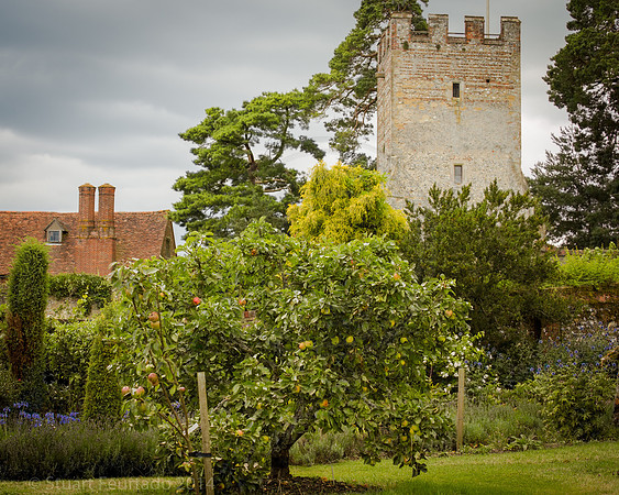 Greys Court (55)