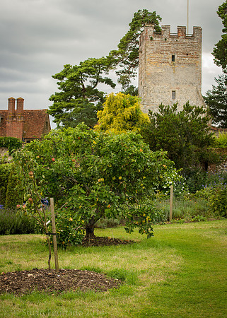 Greys Court (54)