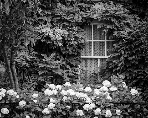 Window