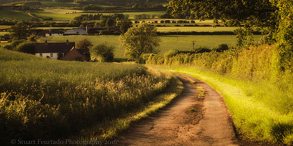 _DSC2855-Edit