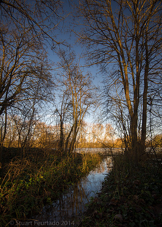 River Thames tributary at Sutton Courtney