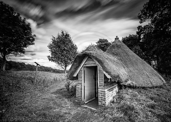 Greys Court (41)