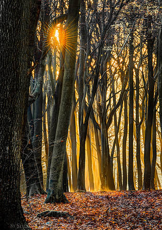 _DSC8088HDR
