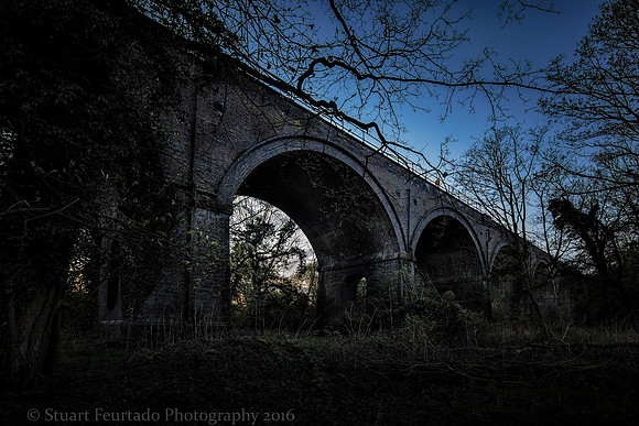 _DSC1240-Edit