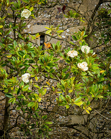 Greys Court (63)