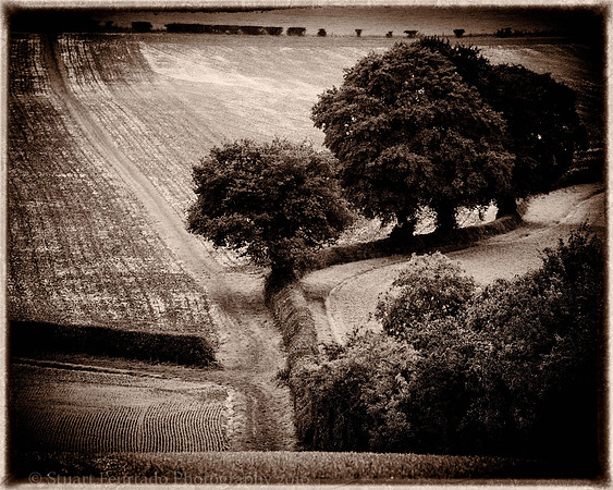 _DSC3257-Edit