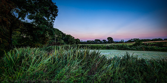 Lepton Pond