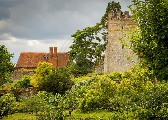 Greys Court (46)