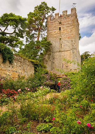 Greys Court (29)